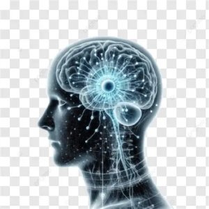 neuro zoom side no-effects